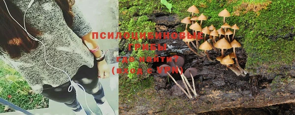 a pvp Михайловка