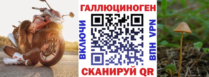 Псилоцибиновые грибы MAGIC MUSHROOMS  площадка Telegram  Чухлома  наркотики 